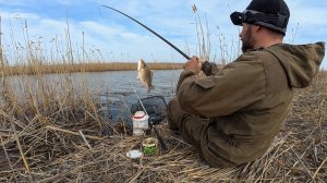 В ЭТИХ КАМЫШАХ ЖИВУТ КАРАСИ-ЛАПТИ! ВЕСЕННИЙ ЖОР РЫБЫ. ЛОВЛЯ НА ПОПЛАВОК. Астрахань.