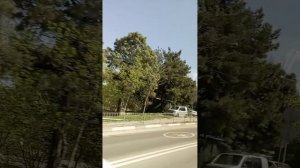 Отдых на море