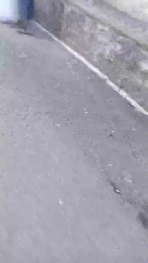 озон 3 часть