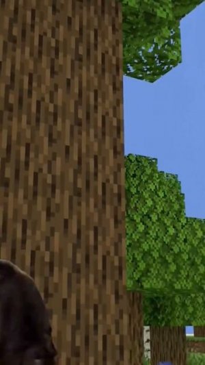 Minecraft Коты