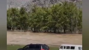 кони переплывают катунь