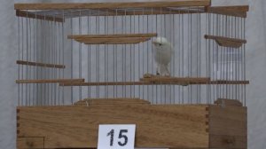 часть 2 конкурс 2025 года.mp4