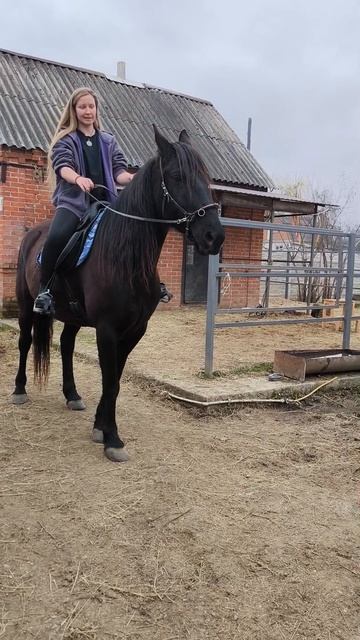 Всё, что можно случилось…