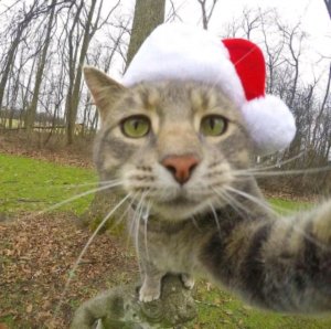 рум тур по комнате