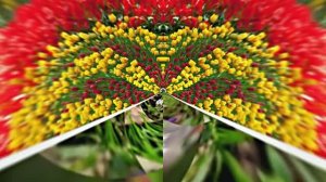 Весеннее Поздравление С Днём Рождения 2 от Киностудии Мудрого Кота Тимофея!