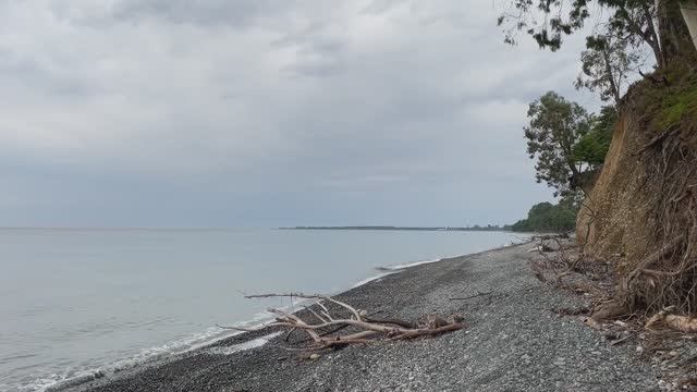 Отдых в Абхазии