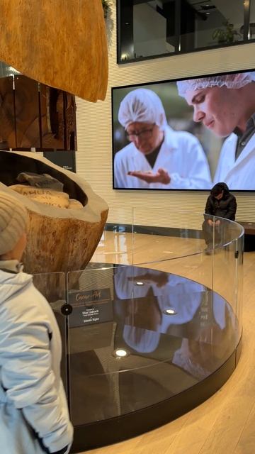 Приключения начинаются