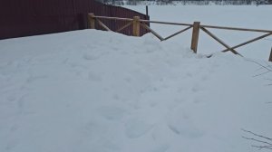 НА УЧАСТКЕ/ НИКОГДА их не ВИДЕЛА/ СПАСИБО вам ❤️