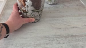 Секреты полива: от открытых корней до закрытой системы