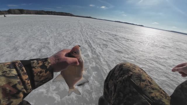 Последний лёд. Рыбалка на леща. Ледовая обстановка на водоеме.21 марта.