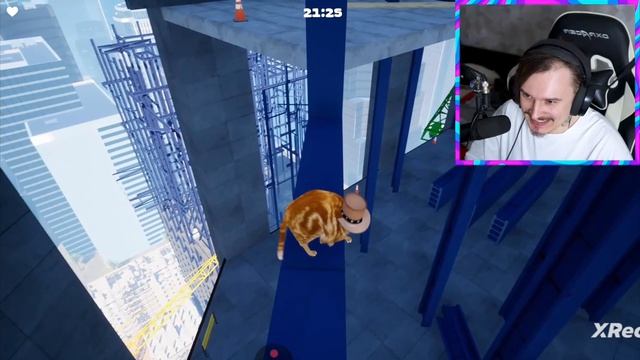 реакция на жеку про котика