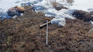 Весна.Что происходит в саду. 22.03.26г