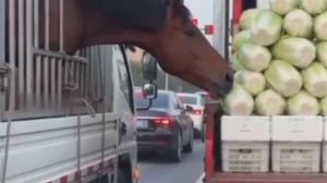 Грабёж среди белого дня,при свидетелях 🤣