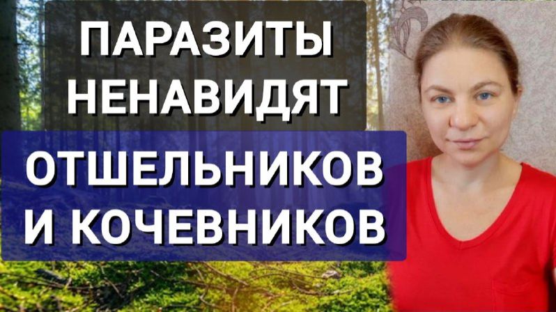 Паразиты ненавидят отшельников и кочевников. Выживание невозможно. смотреть онлайн