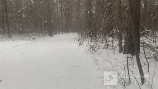 Почему большинство людей начинают расти только тогда, когда достигнут дна
