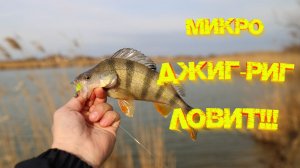 МИКРО ДЖИГ-РИГ ловит ОКУНЕЙ 👍 Пассивные приманки ОТЛИЧНО работают 💪💪💪