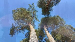 2026.03.21 Богданиха-Сальцево-Кохма-Ландеховская 18 км