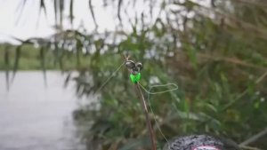 САЗАНЫ И СОМЫ БЕШЕНЫЙ КЛЁВ. Рыбалка на закидушки 2026