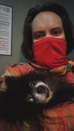 Мы идём гулять с собакой! | 22-мар-2026 2