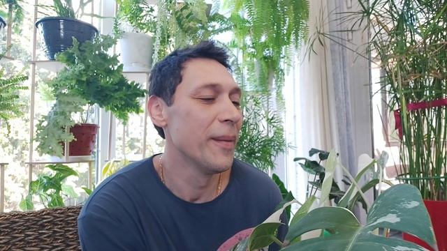 Цветочное Бла Бла Бла1