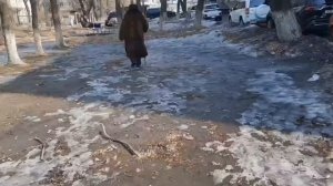 Весенняя распутица.