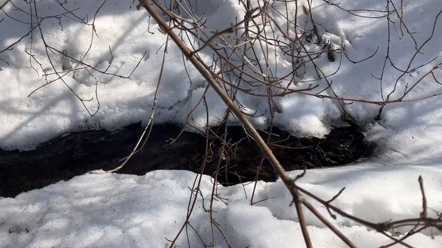 Весна на подходе