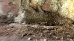 В обители мёртвых