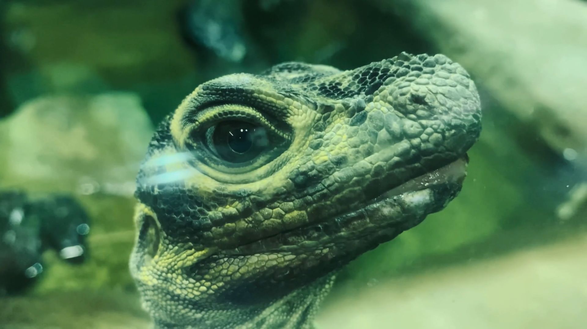 #3 МОСКОВСКИЙ ЗООПАРК