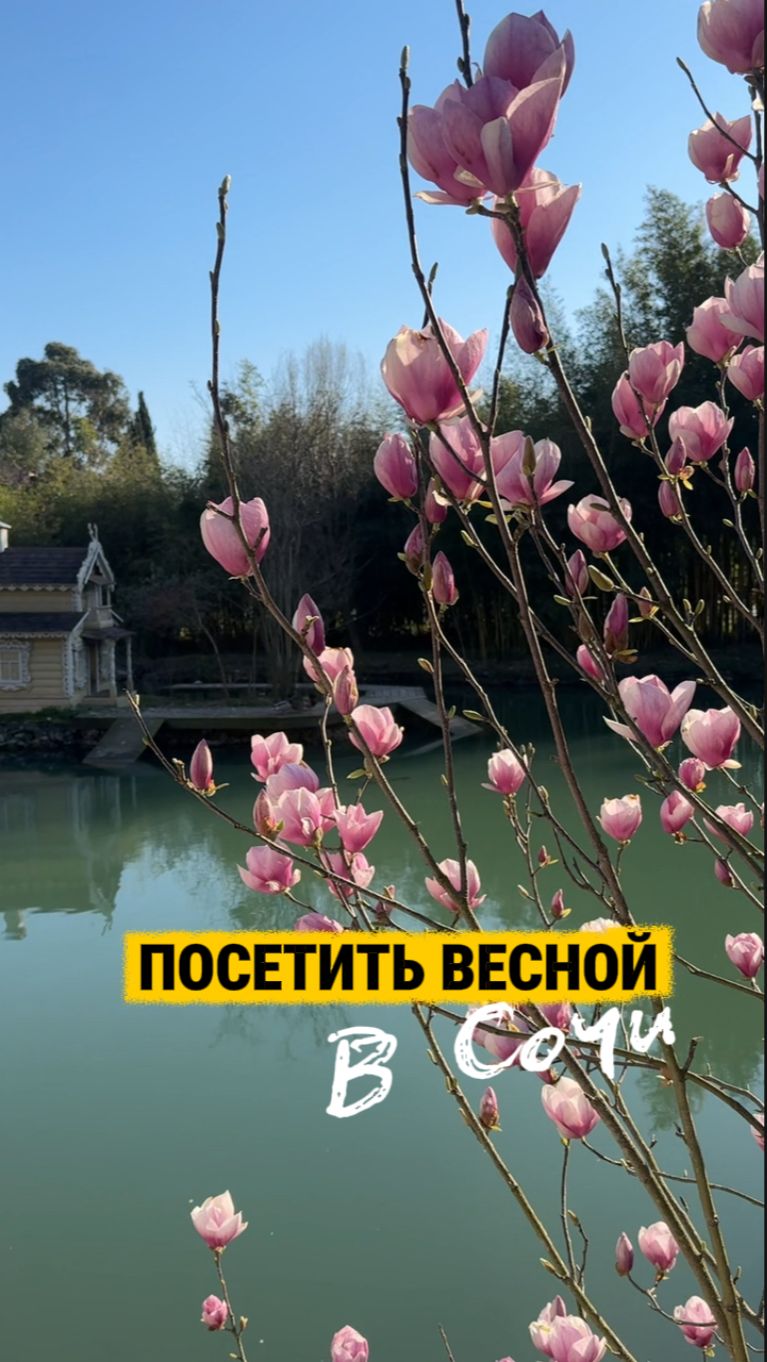 Сходите сюда весной в Сочи!