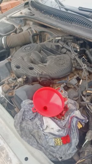 Минерализовано!