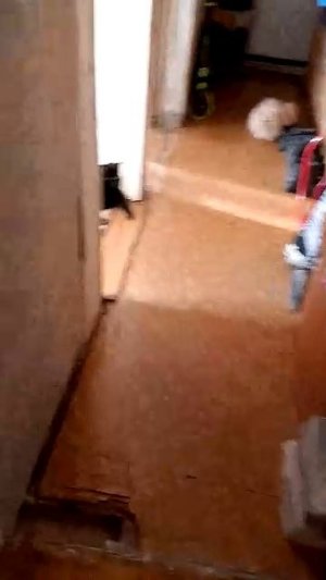 ловим Буську 2ч.