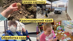 Переезд на юг. Сажаем картошку. Обработка сада на юге. Редис и укроп. Работы в саду.