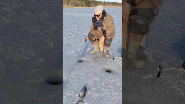 Закрытие сезона зимней рыбалки( продолжение).