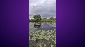 12.07.2025_Полесск