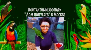 Поехали посмотрим "Дом попугаев" в Москве (ТРЦ "РИО"). Шоковая перезагрузка для взрослых и детей