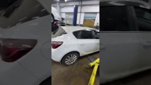 HAVAL «Дарго». масло автосервис будни