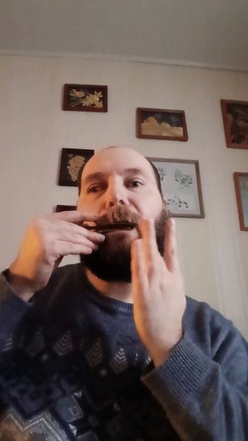 Звуковая волна