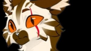 Посмотрите это видео!