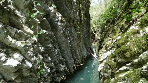 Весенний маршрут в Крабовое ущелье в Лазаревском.