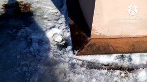 Деревенская жизнь в Сибири/муксун и мн.др