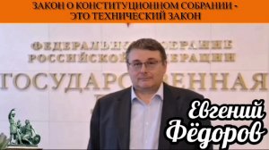 Евгений Фёдоров. Закон о Конституционном собрании -это технический закон