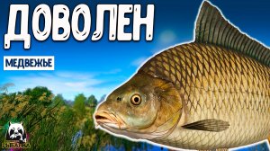 RF4 Я доволен такой рыбалкой #рр4