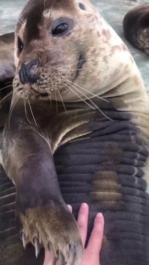 Просыпаемся