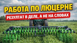Работа по люцерне. Результат в деле, а не на словах