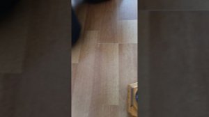 подарок из видео с (челлендж с детскими игрушечными яйцами)