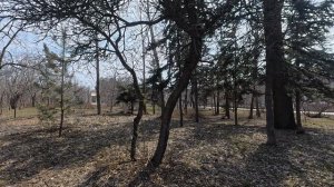 Мартовский полдень в парке Гагарина