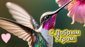 С добрым утром! Доброго утра и отличного настроения на весь день!
