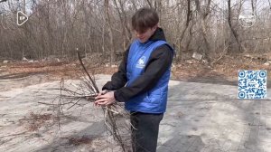 «Волонтёры Победы» вместе с партийцами благоустроили могилу воинов