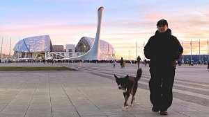 Трейлер; Адлер зимой 2026 ч.15💥Мега ШТОРМ /Прооралась на рынке / Что готовлю в номере /Сумасшедшая!