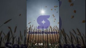 Сергей Есенин — Гори, звезда моя, не падай